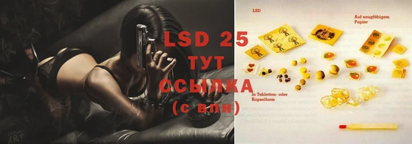 спиды Инта