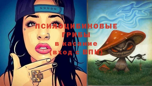 молекула духа Иннополис