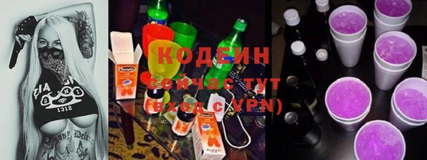 спиды Инта